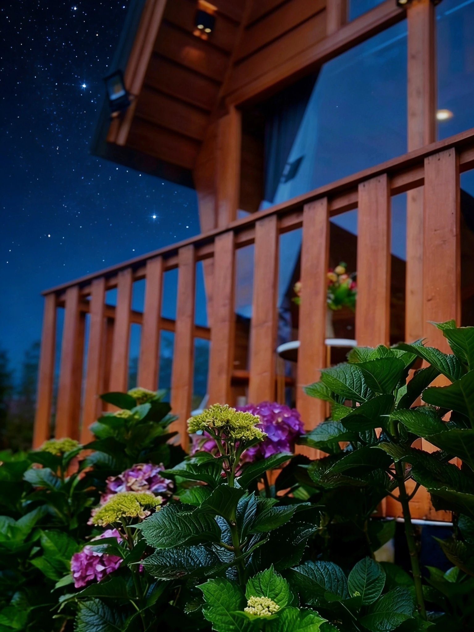 Sunflower Villa Dieng