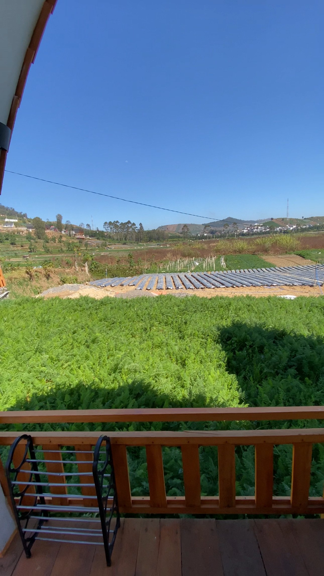 Glamping Salju di Dieng